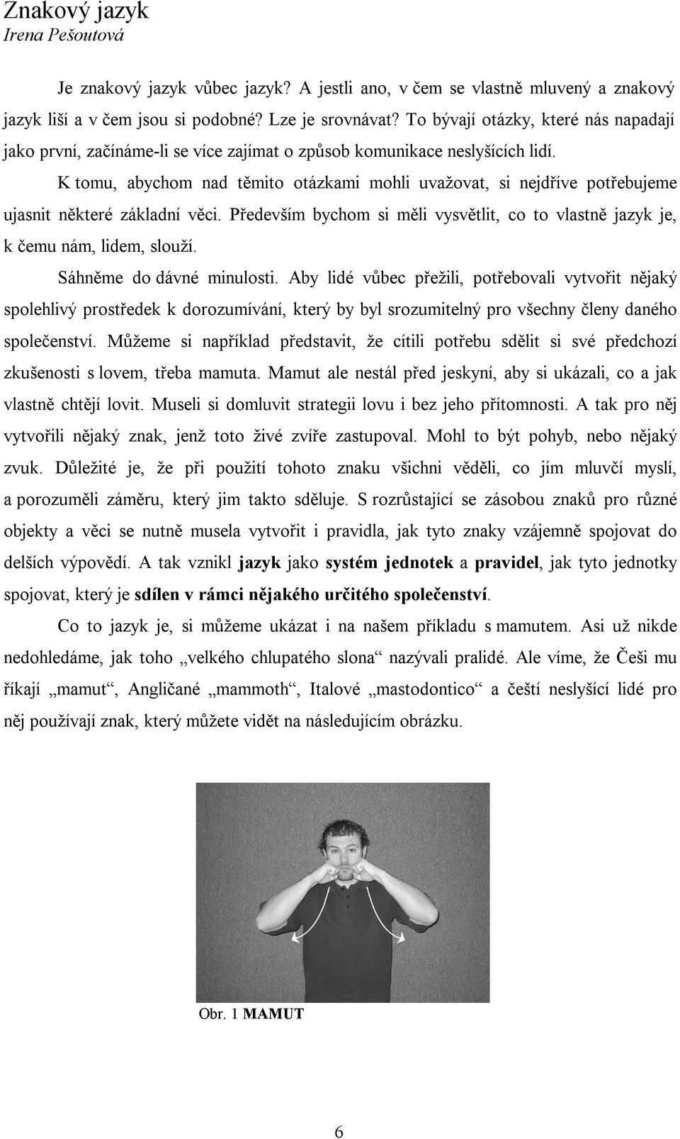 K tomu, abychom nad těmito otázkami mohli uvažovat, si nejdříve potřebujeme ujasnit některé základní věci. Především bychom si měli vysvětlit, co to vlastně jazyk je, k čemu nám, lidem, slouží.