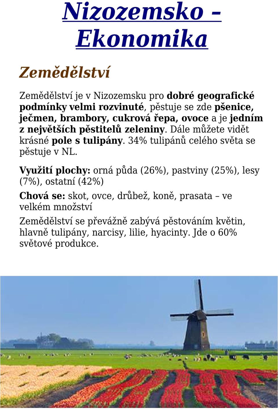 34% tulipánů celého světa se pěstuje v NL.