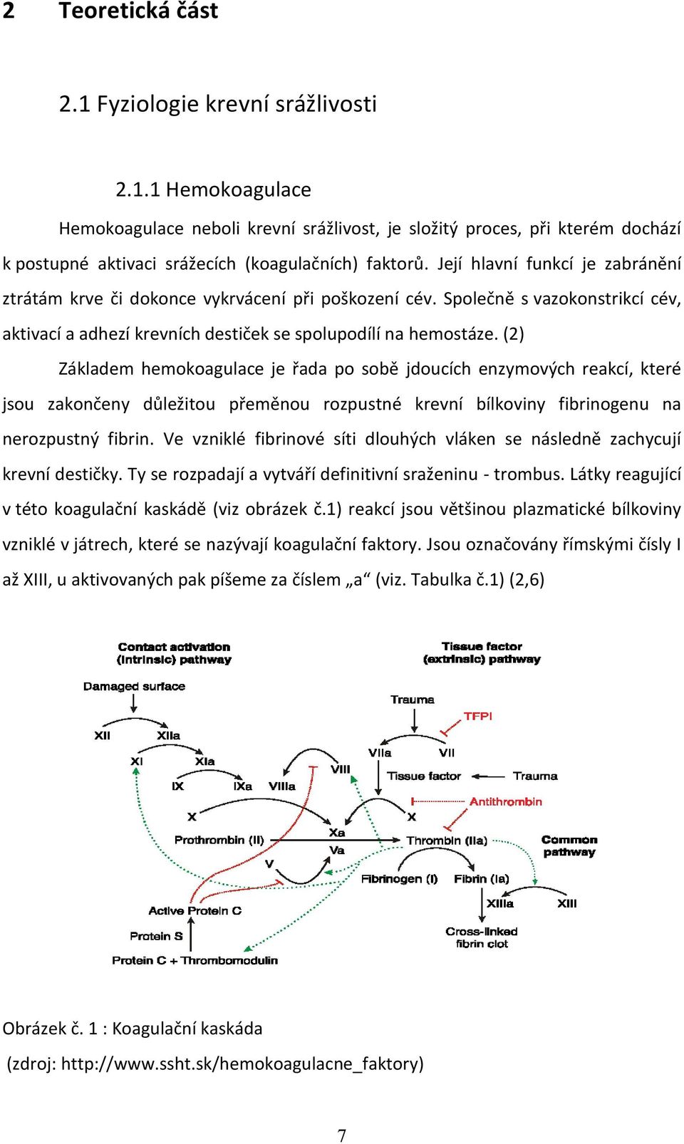 (2) Základem hemokoagulace je řada po sobě jdoucích enzymových reakcí, které jsou zakončeny důležitou přeměnou rozpustné krevní bílkoviny fibrinogenu na nerozpustný fibrin.