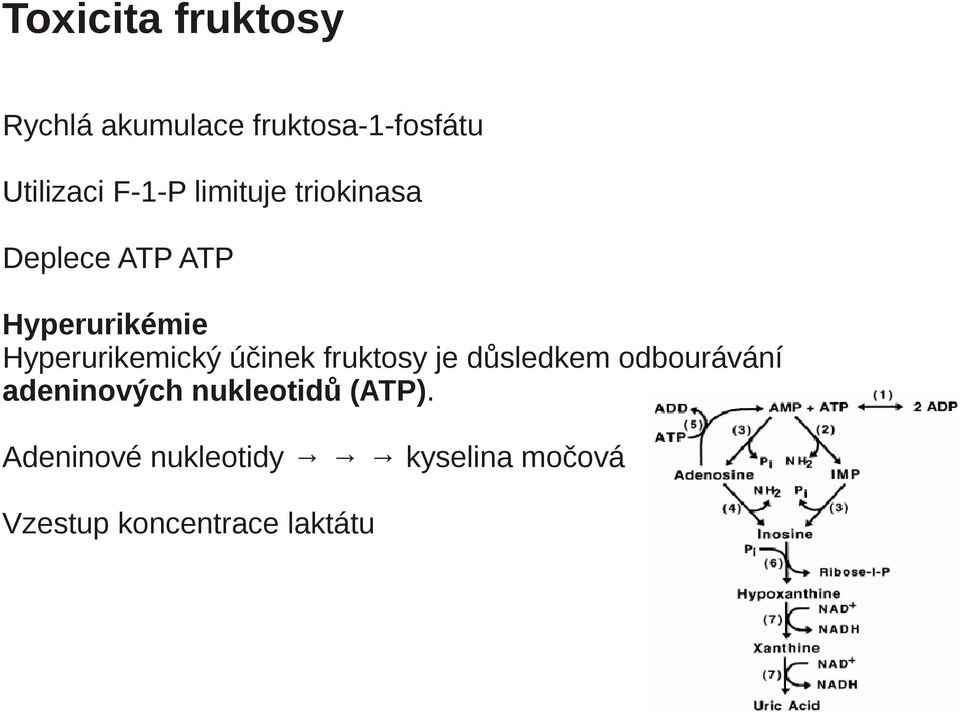 Hyperurikemický účinek fruktosy je důsledkem odbourávání