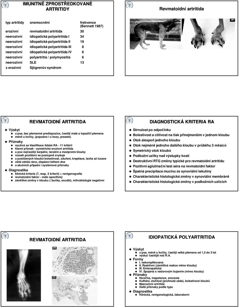 častěji malá a trpasličí plemena méně u kočky, (popsáno i u kozy, prasete) Příznaky využívá se klasifikace lidské RA - 11 kritérií hlavní příznak - symetrická erozivní artritida u psů nejčastěji
