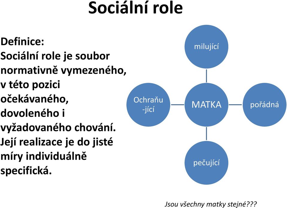 vymezeného, v této pozici očekávaného, dovoleného i vyžadovaného