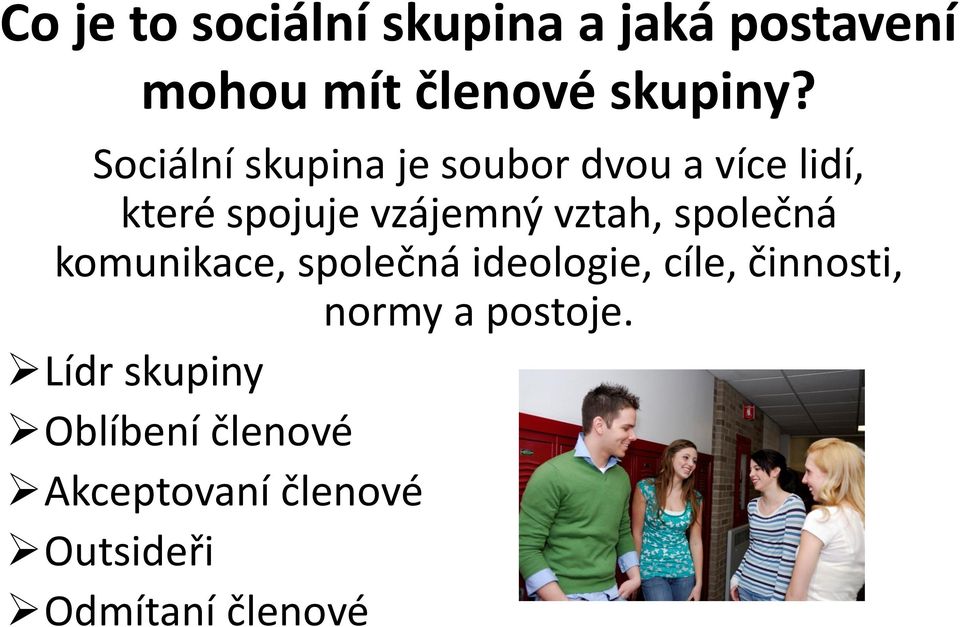 vztah, společná komunikace, společná ideologie, cíle, činnosti, normy a