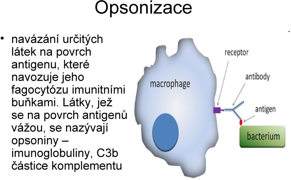 buňkami.