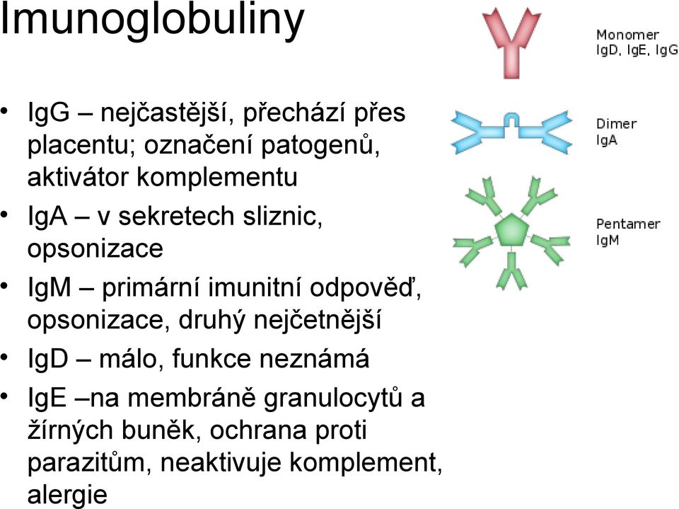 odpověď, opsonizace, druhý nejčetnější IgD málo, funkce neznámá IgE na membráně