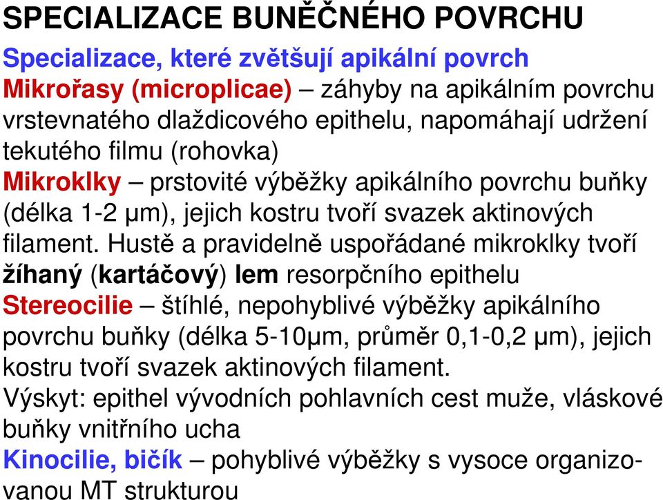 Hustě a pravidelně uspořádané mikroklky tvoří žíhaný (kartáčový) lem resorpčního epithelu Stereocilie štíhlé, nepohyblivé výběžky apikálního povrchu buňky (délka 5-10µm, průměr