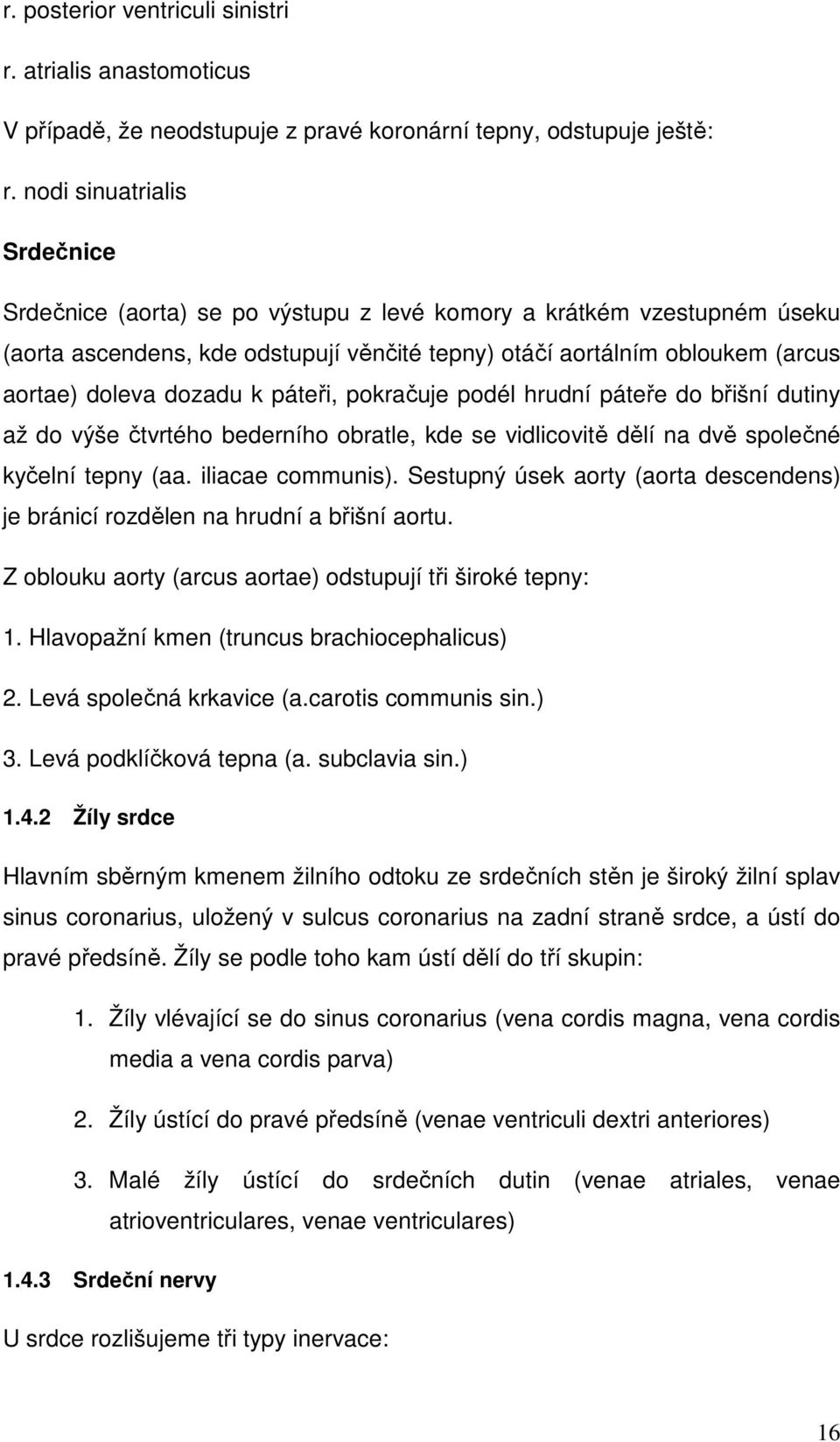 dozadu k páteři, pokračuje podél hrudní páteře do břišní dutiny až do výše čtvrtého bederního obratle, kde se vidlicovitě dělí na dvě společné kyčelní tepny (aa. iliacae communis).