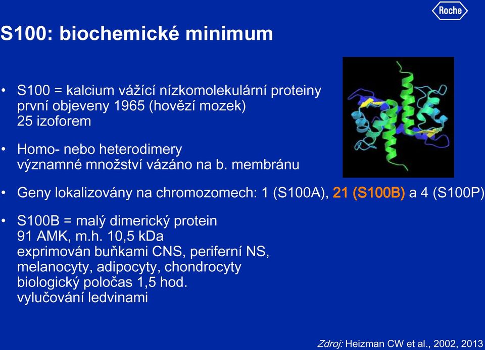 membránu Geny lokalizovány na chromozomech: 1 (S100A), 21 (S100B) a 4 (S100P) S100B = malý dimerický protein 91 AMK,
