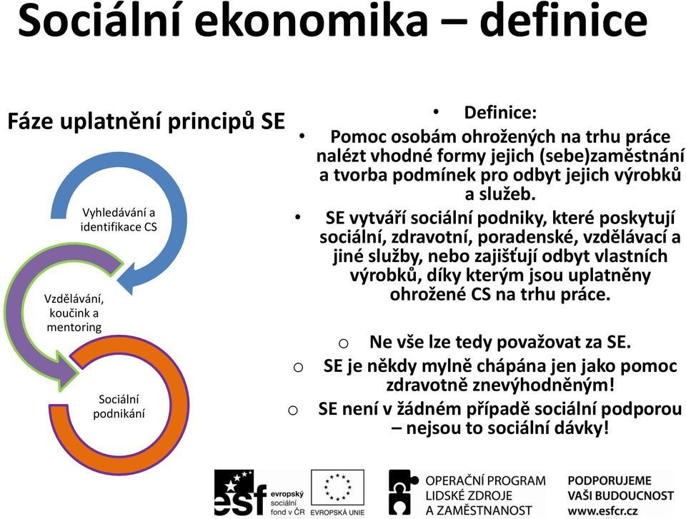 SE vytváří sociální podniky, které poskytují sociální, zdravotní, poradenské, vzdělávací a jiné služby, nebo zajišťují odbyt vlastních výrobků, díky kterým jsou