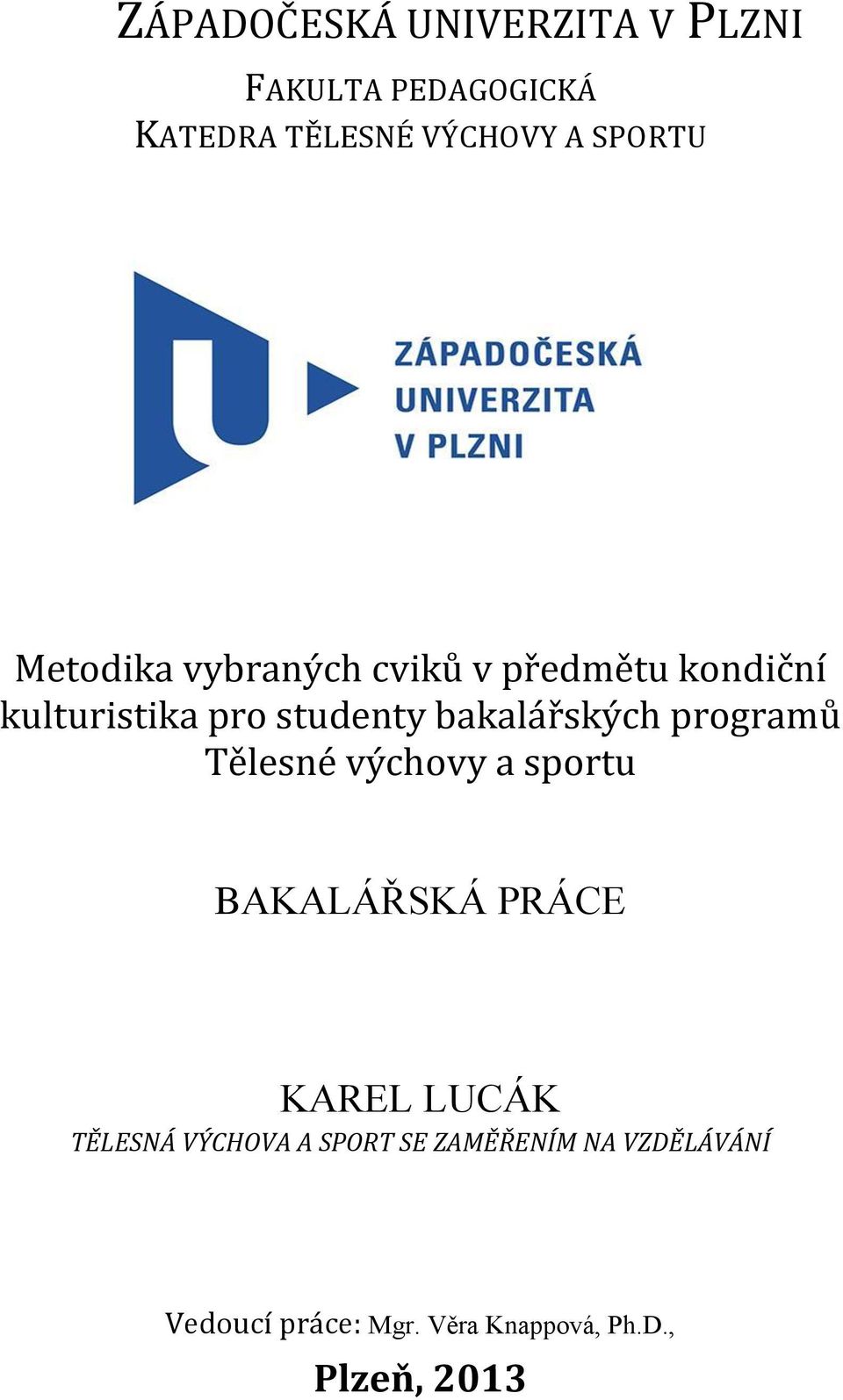 programů Tělesné výchovy a sportu BAKALÁŘSKÁ PRÁCE KAREL LUCÁK TĚLESNÁ VÝCHOVA A