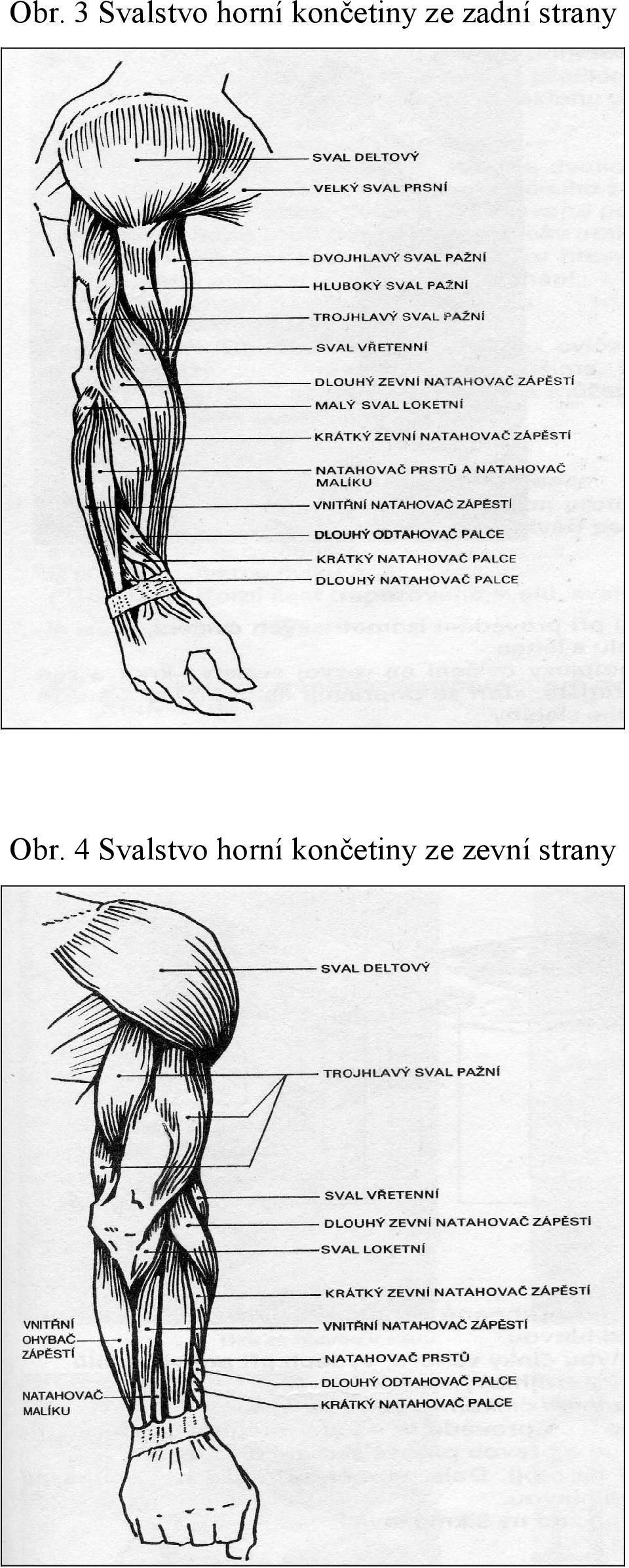 strany Obr.