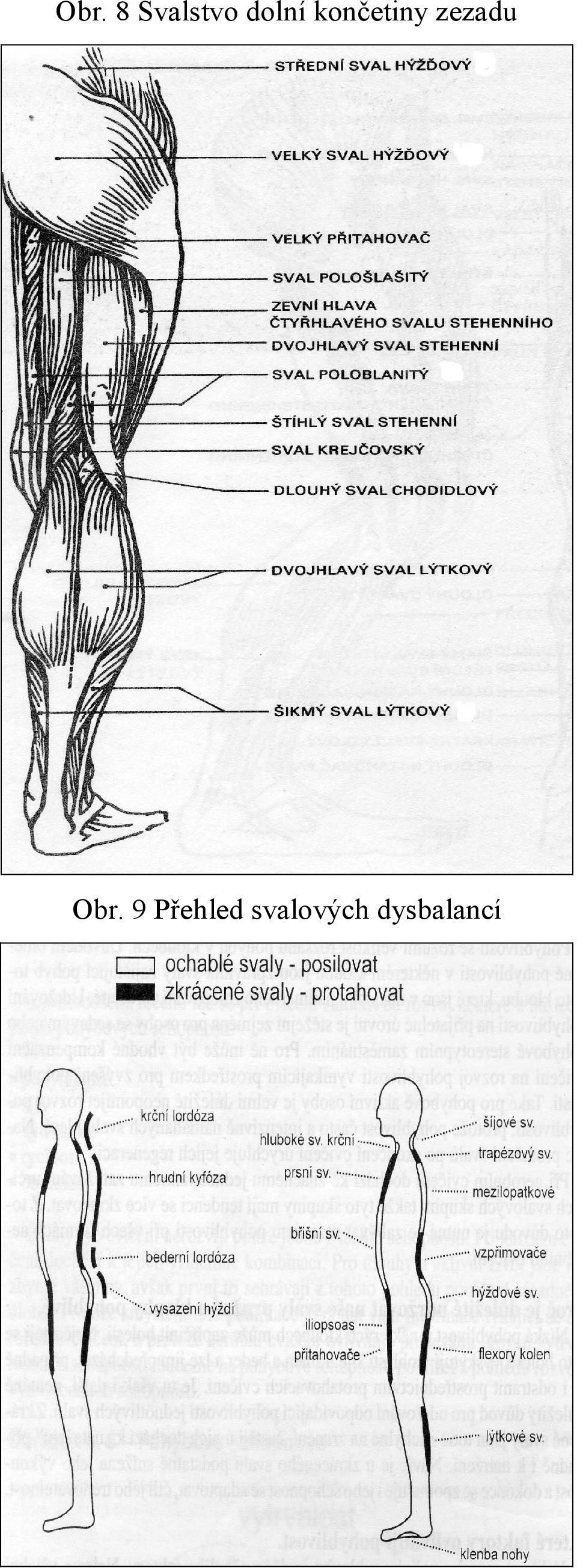 zezadu Obr.