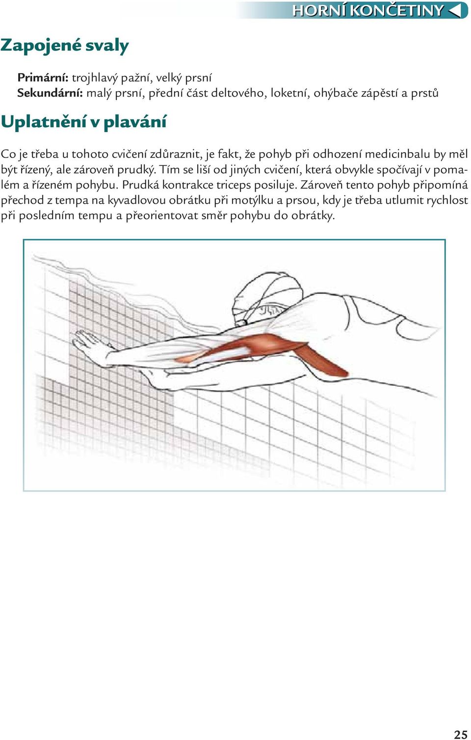 Tím se liší od jiných cvičení, která obvykle spočívají v pomalém a řízeném pohybu. Prudká kontrakce triceps posiluje.