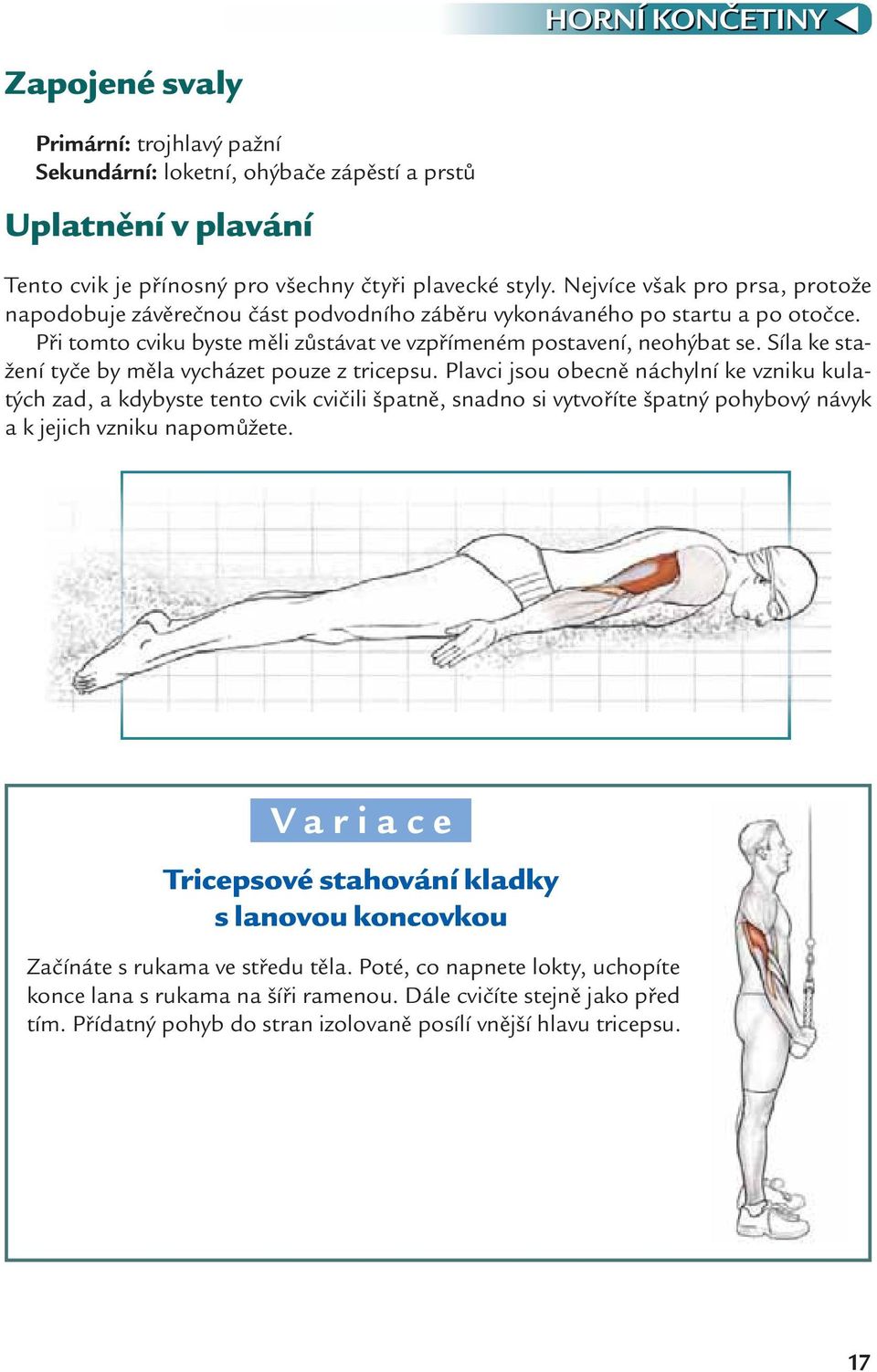 Síla ke stažení tyče by měla vycházet pouze z tricepsu.