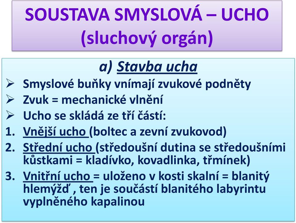 Střední ucho (středoušní dutina se středoušními kůstkami = kladívko, kovadlinka, třmínek)