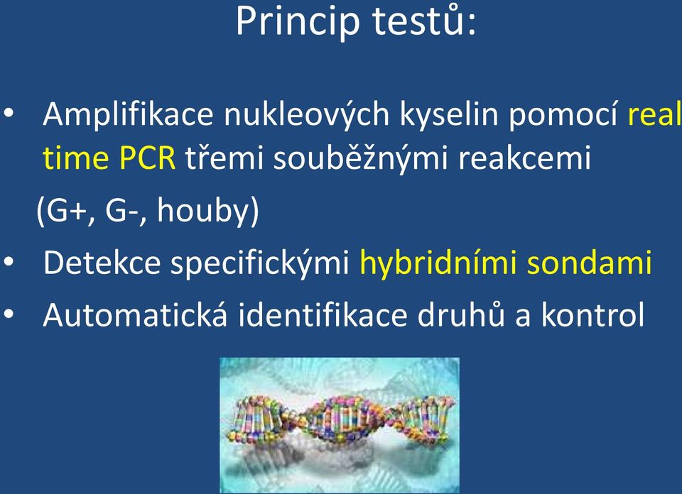 (G+, G-, houby) Detekce specifickými hybridními