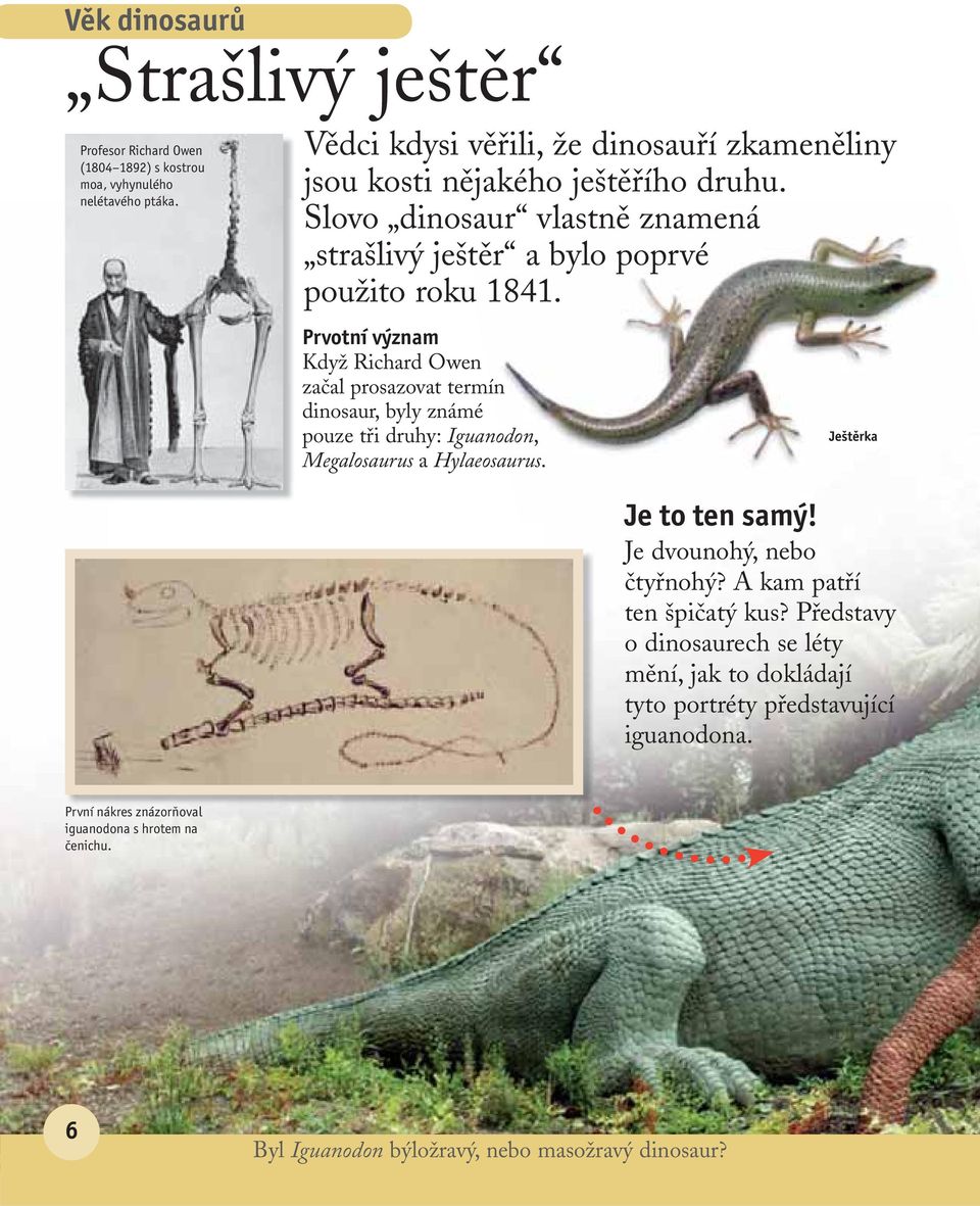 Prvotní význam Když Richard Owen začal prosazovat termín dinosaur, byly známé pouze tři druhy: Iguanodon, Megalosaurus a Hylaeosaurus. Ještěrka Je to ten samý!
