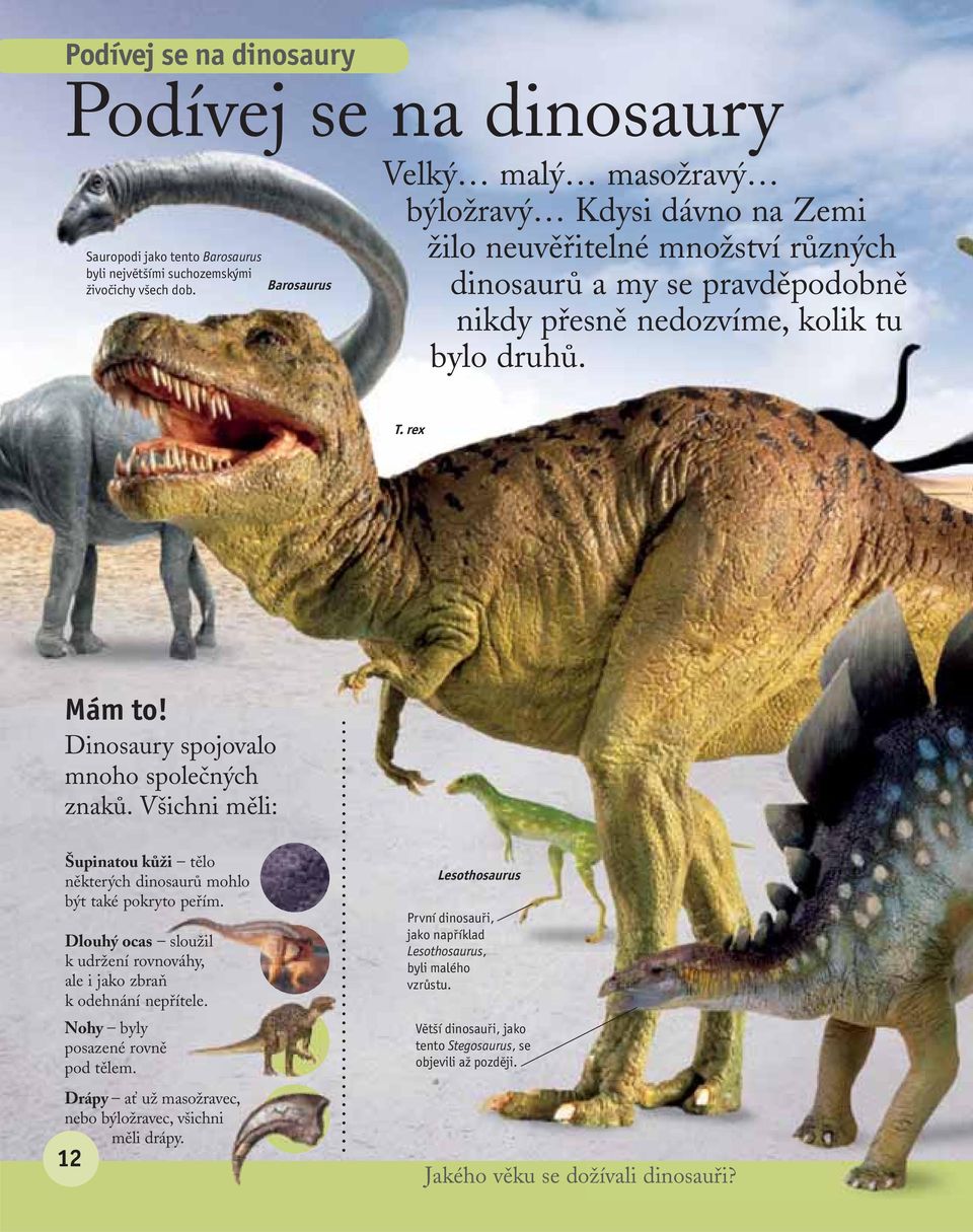 Dinosaury spojovalo mnoho společných znaků. Všichni měli: Šupinatou kůži tělo některých dinosaurů mohlo být také pokryto peřím.