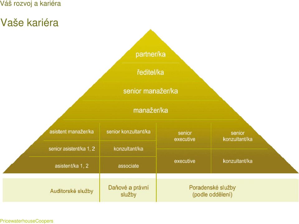 kariéra