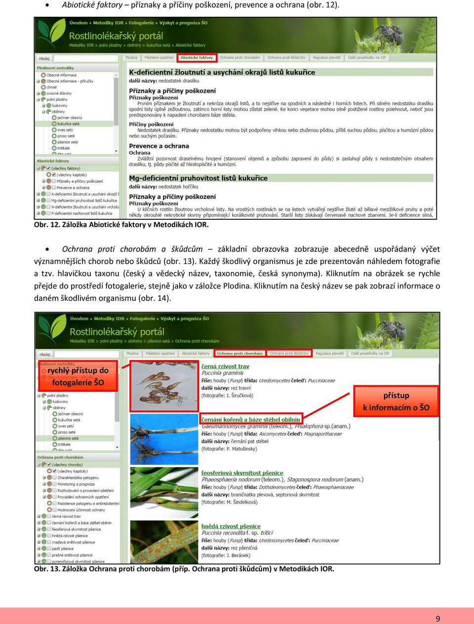 Každý škodlivý organismus je zde prezentován náhledem fotografie a tzv. hlavičkou taxonu (český a vědecký název, taxonomie, česká synonyma).