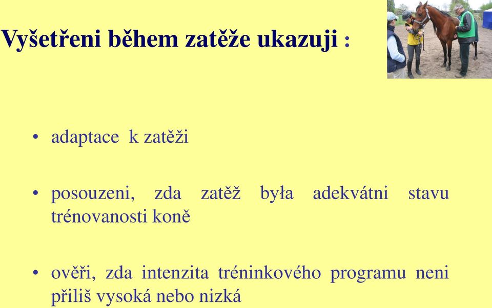 stavu trénovanosti koně ověři, zda intenzita