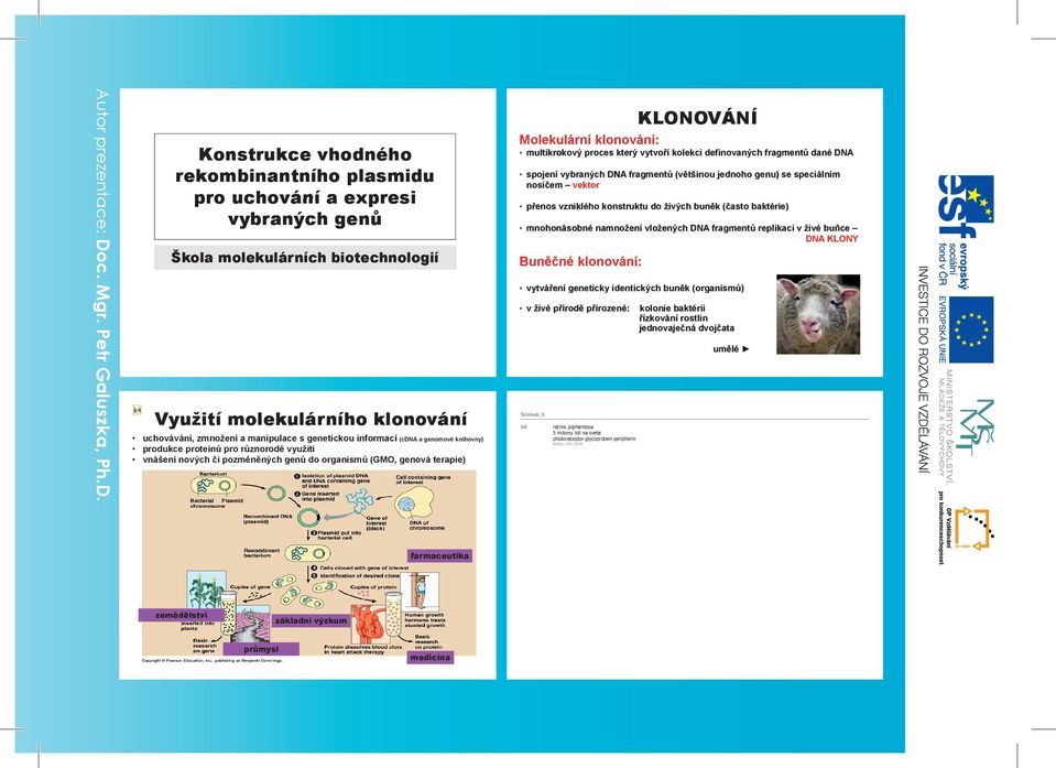 pigmentosa 5 milionu lidi na svete photoreceptor glycoprotein peripherin kokos; 18.4.