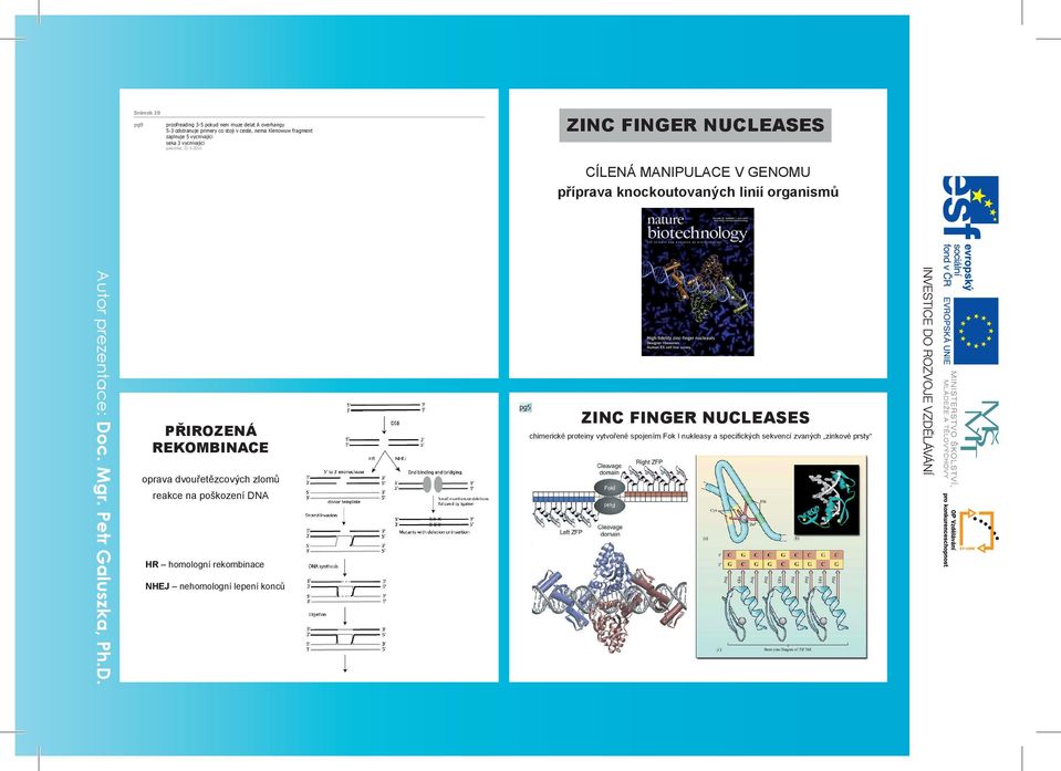 20 ZINC FINGER NUCLEASES CÍLENÁ MANIPULACE V GENOMU příprava p knockoutovaných linií organismů Autor prezentace: Do