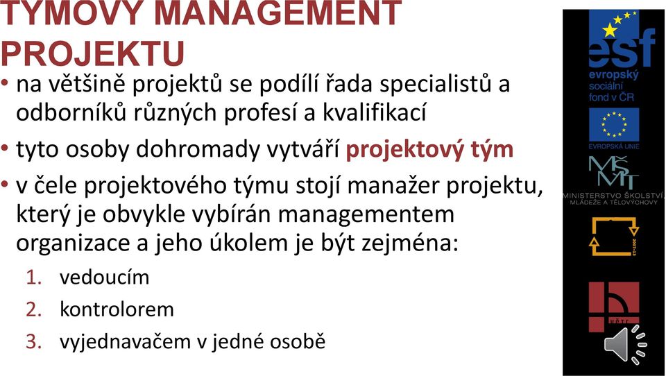 projektového týmu stojí manažer projektu, který je obvykle vybírán managementem