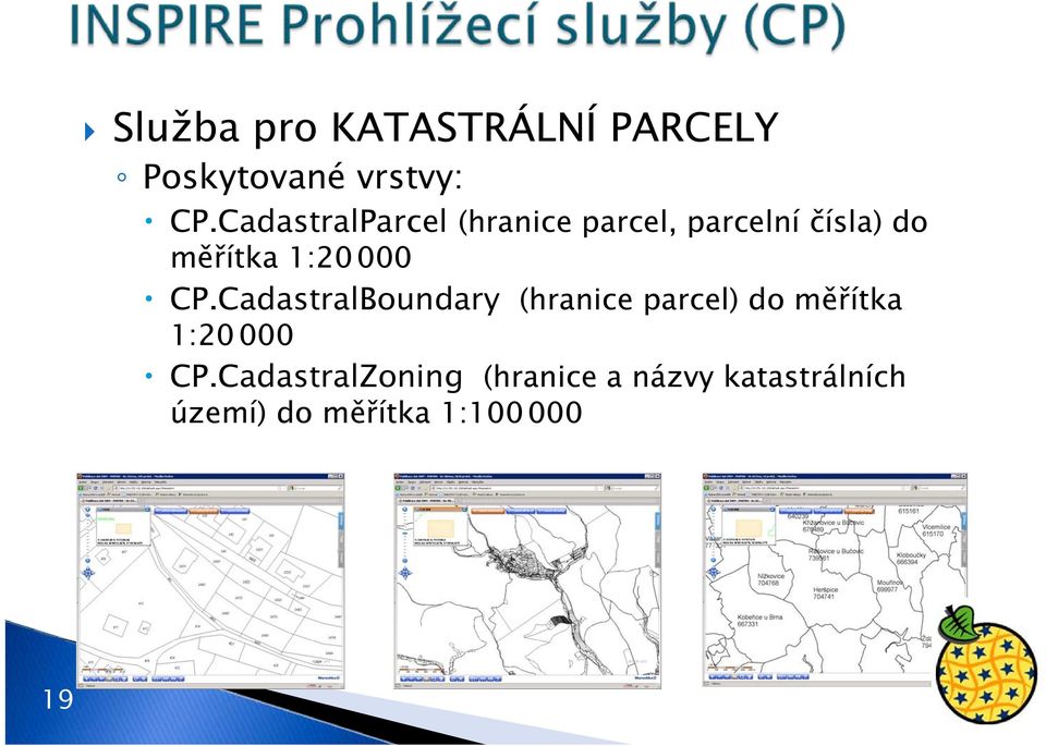 000 CP.CadastralBoundary (hranice parcel) do měřítka 1:20 000 CP.