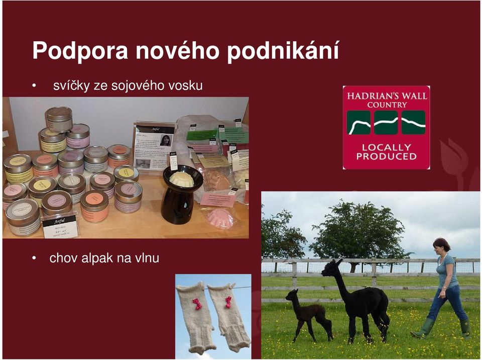 ze sojového