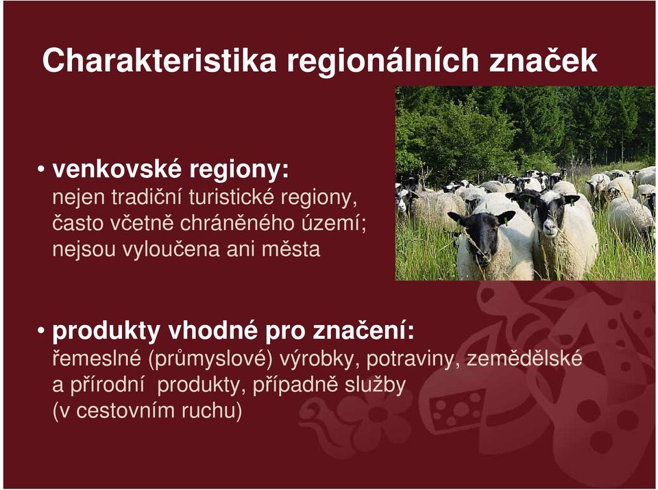 města produkty vhodné pro značení: řemeslné (průmyslové) výrobky,