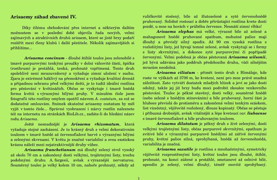 Až 90 cm vysoká rostlina s rozložitými listy, jež bývají temně zelené, avšak vyskytují se i formy s listy skvrnitými, a dokonce sytě purpurovými či popřípadě červenými.