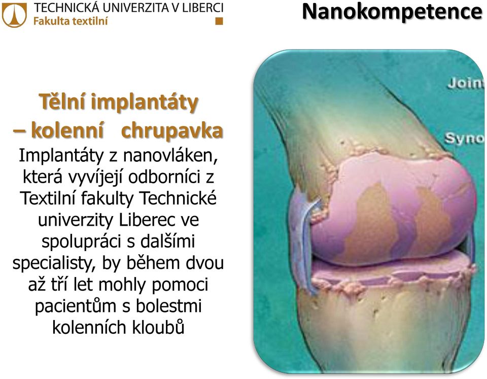 Liberec ve spolupráci s dalšími specialisty, by během dvou až