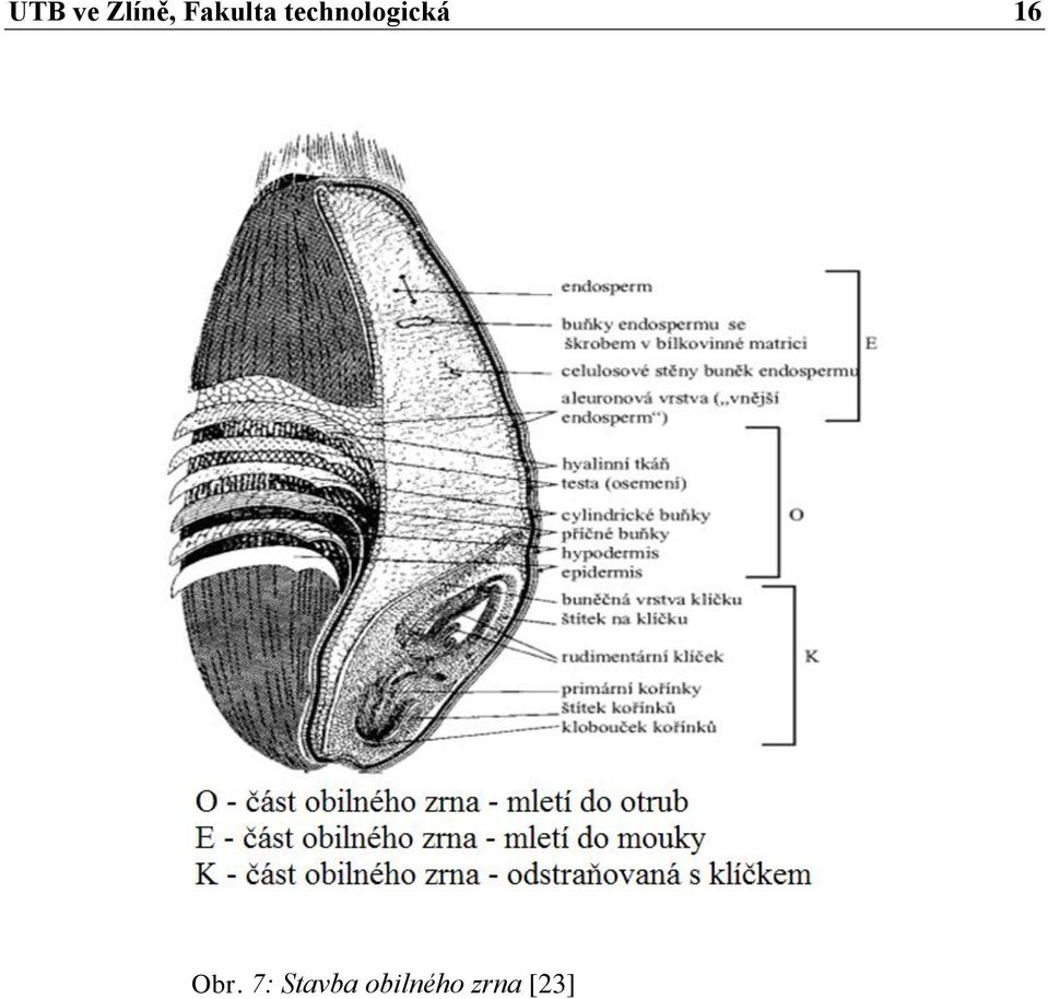 technologická 16