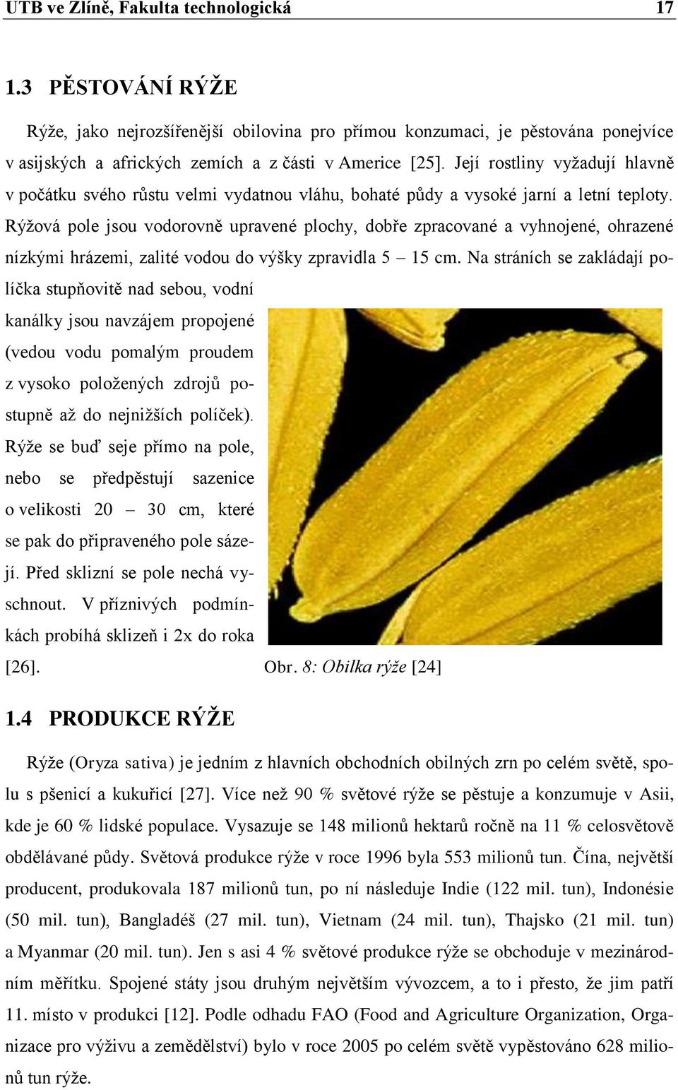 Rýžová pole jsou vodorovně upravené plochy, dobře zpracované a vyhnojené, ohrazené nízkými hrázemi, zalité vodou do výšky zpravidla 5 15 cm.