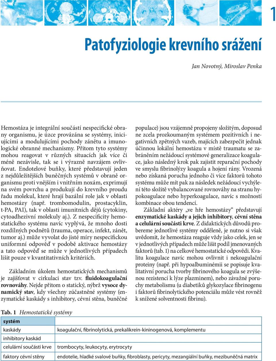 Endotelové buňky, které představují jeden z nejdůležitějších buněčných systémů v obraně organismu proti vnějším i vnitřním noxám, exprimují na svém povrchu a produkují do krevního proudu řadu