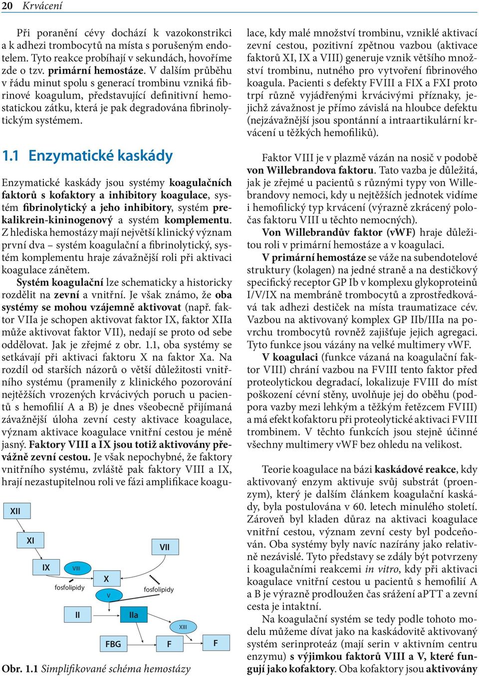 1 Enzymatické kaskády XII XI IX VIII fosfolipidy II X V FBG IIa VII fosfolipidy Obr. 1.