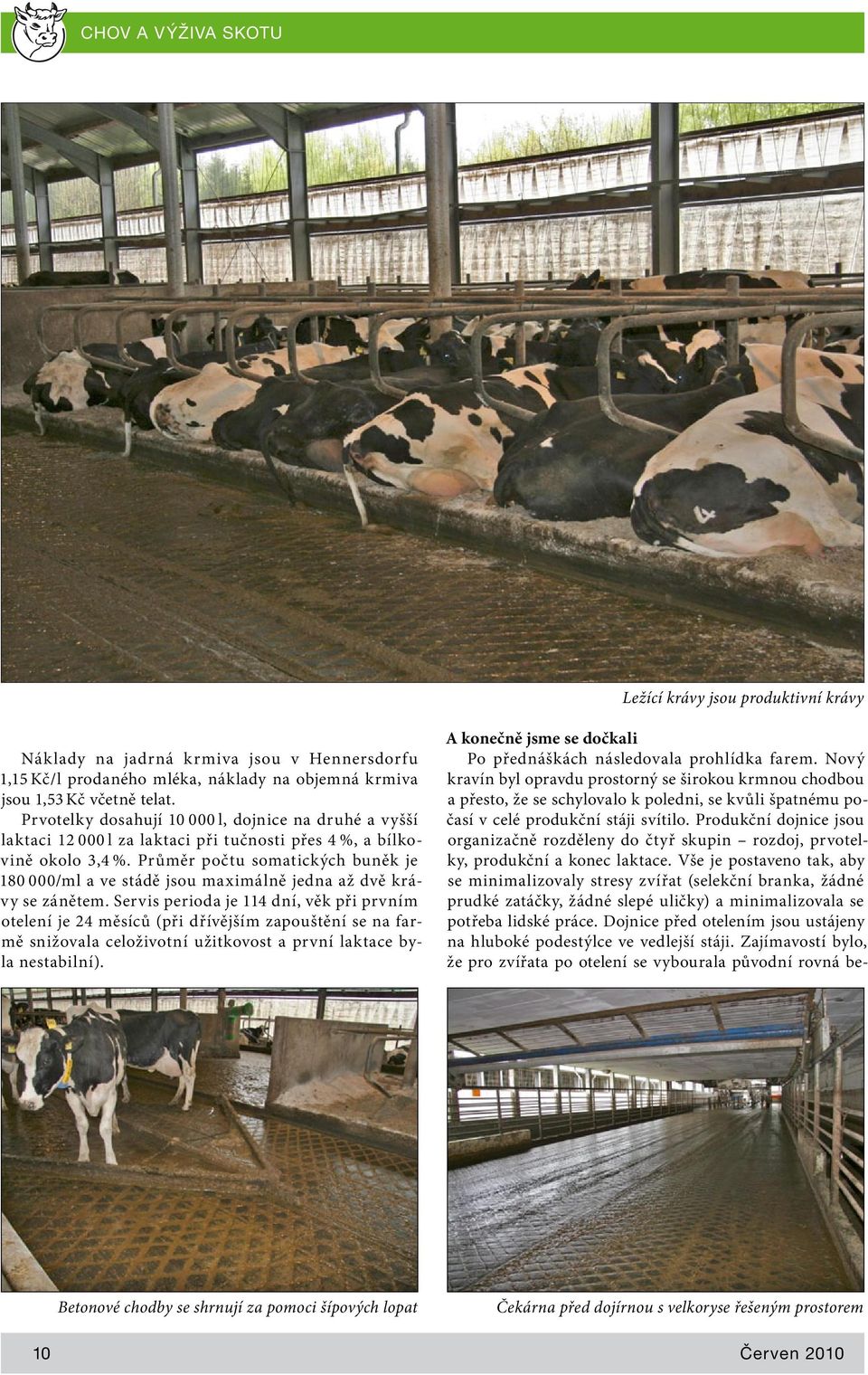 Průměr počtu somatických buněk je 180 000/ml a ve stádě jsou maximálně jedna až dvě krávy se zánětem.