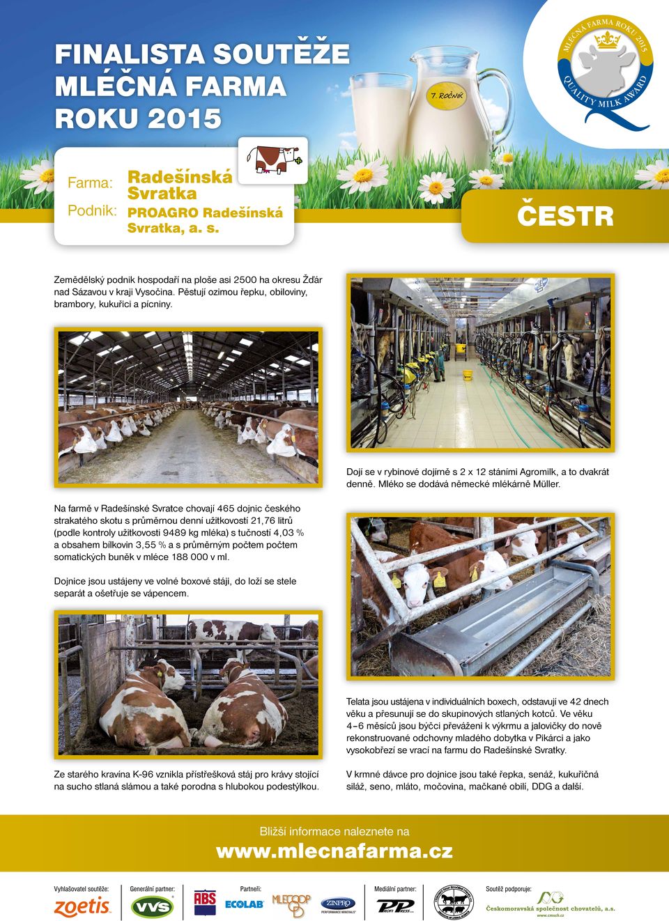 Na farmě v Radešínské Svratce chovají 465 dojnic českého strakatého skotu s průměrnou denní užitkovostí 21,76 litrů (podle kontroly užitkovosti 9489 kg mléka) s tučností 4,03 % a obsahem bílkovin