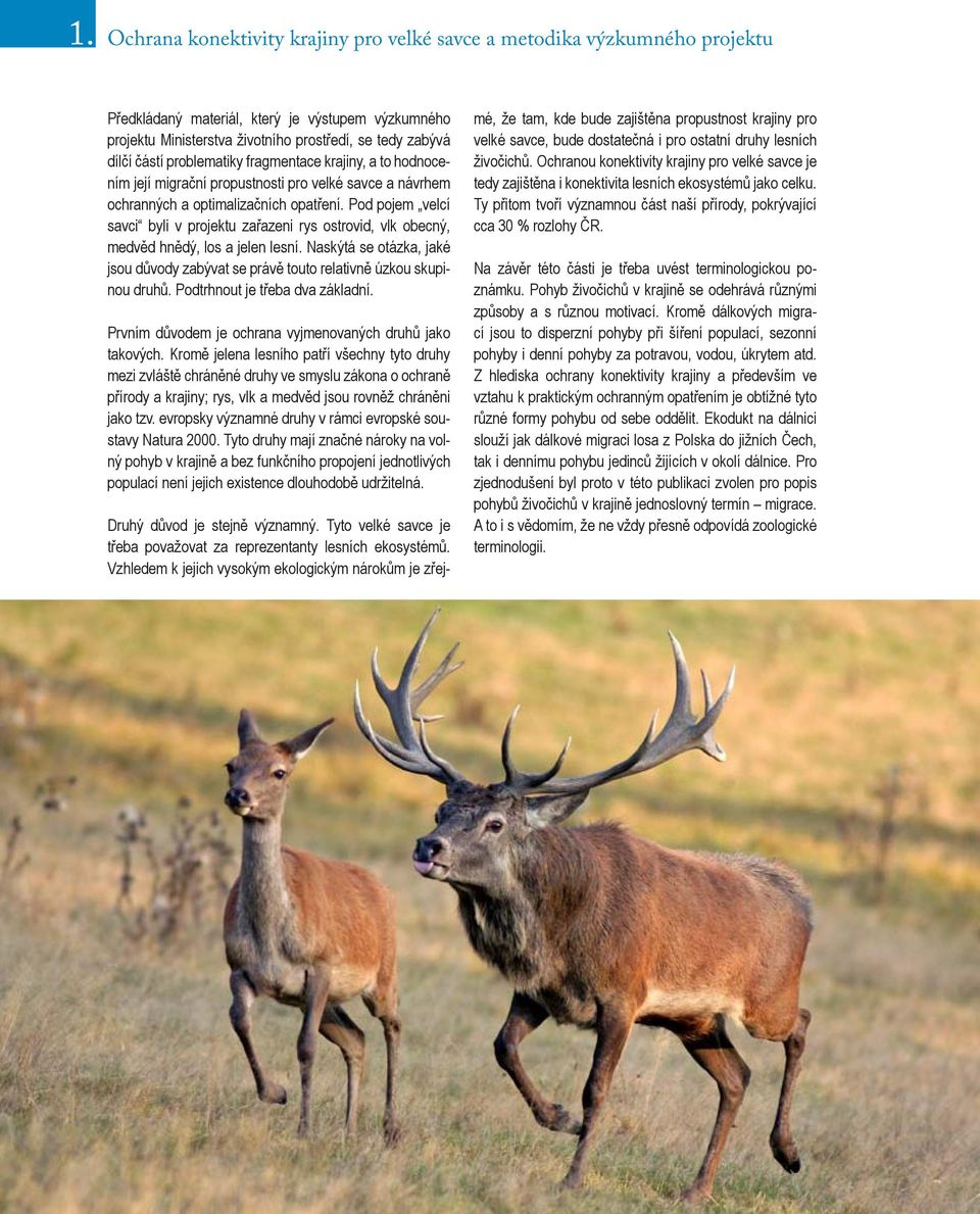 Pod pojem velcí savci byli v projektu zařazeni rys ostrovid, vlk obecný, medvěd hnědý, los a jelen lesní. Naskýtá se otázka, jaké jsou důvody zabývat se právě touto relativně úzkou skupinou druhů.