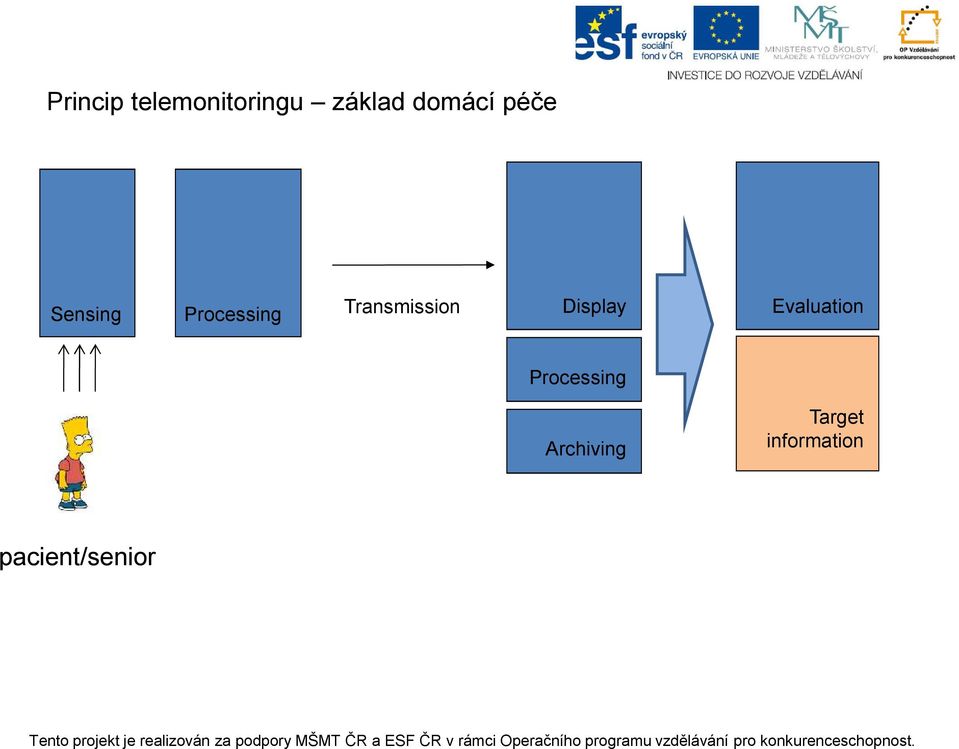 Transmission Display Evaluation