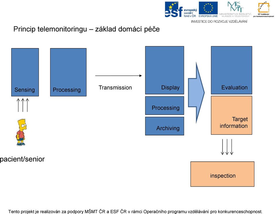 Display Evaluation Processing Archiving