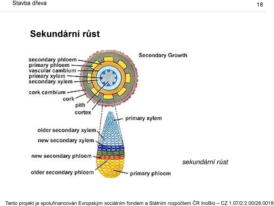 Sekundární