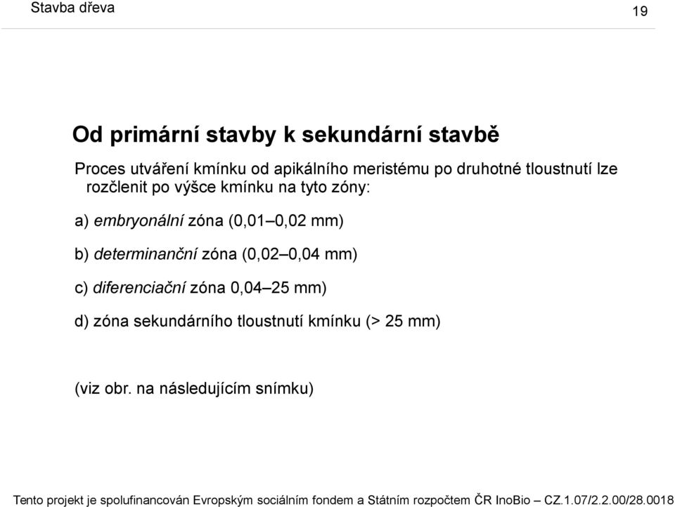 embryonální zóna (0,01 0,02 mm) b) determinanční zóna (0,02 0,04 mm) c) diferenciační