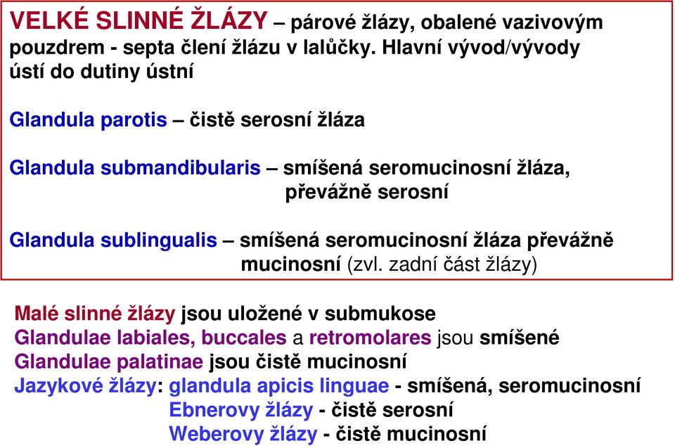 Glandula sublingualis smíšená seromucinosní žláza převážně mucinosní (zvl.