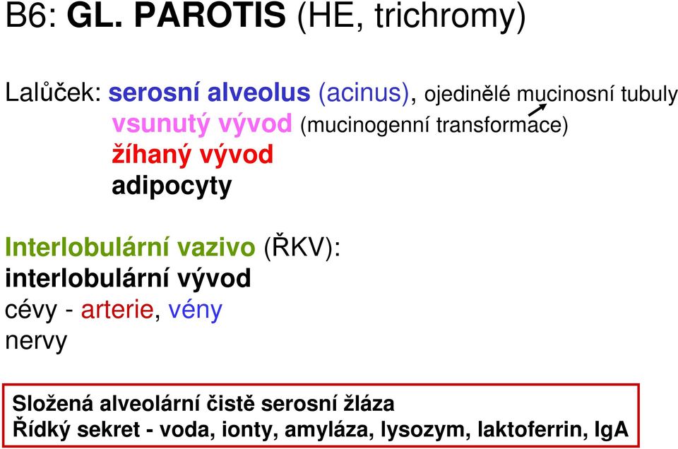 tubuly vsunutý vývod (mucinogenní transformace) žíhaný vývod adipocyty