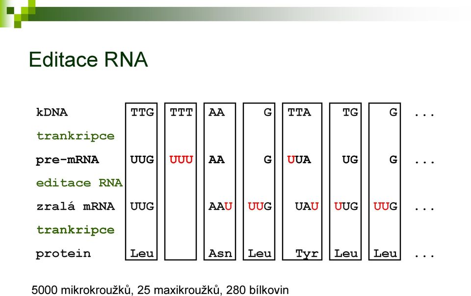 .. editace RNA zralá mrna UUG AAU UUG UAU UUG UUG.