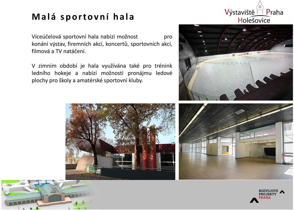 V zimním období je hala využívána také pro trénink ledního hokeje a