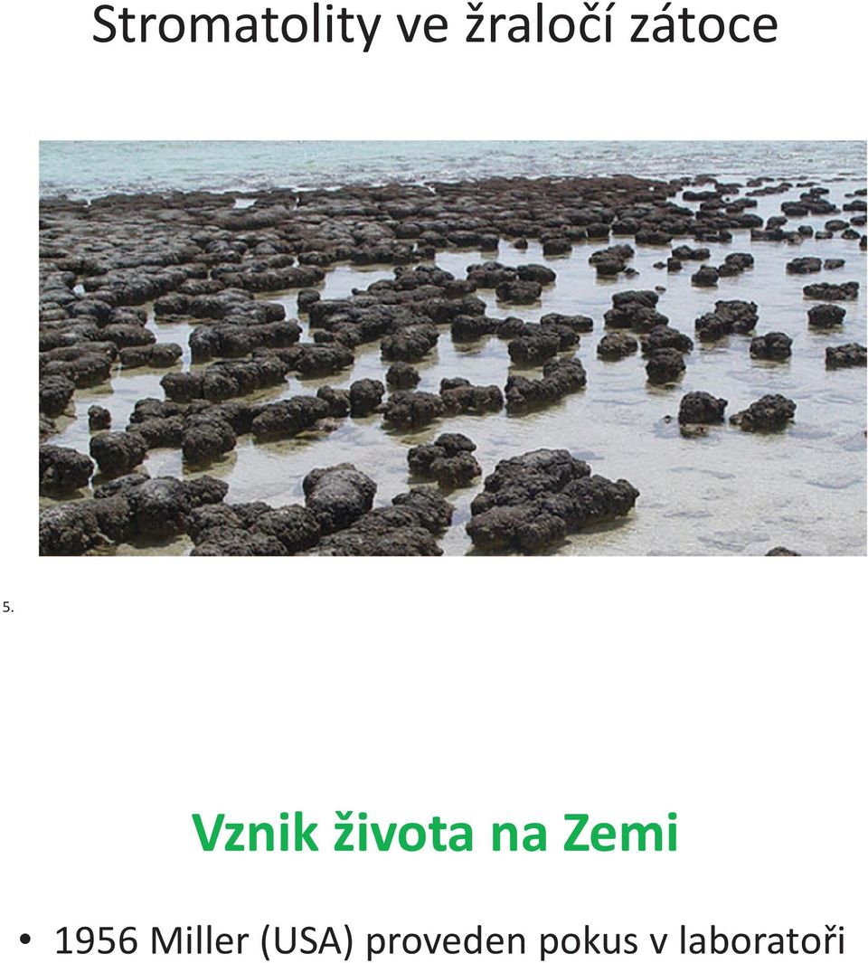 Vznik života na Zemi