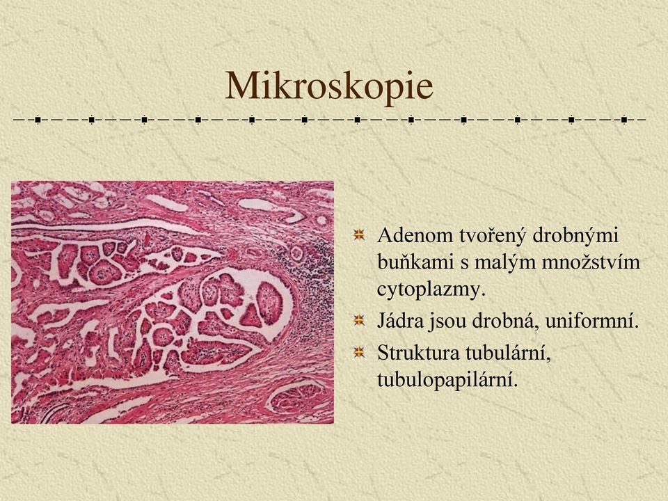 cytoplazmy.